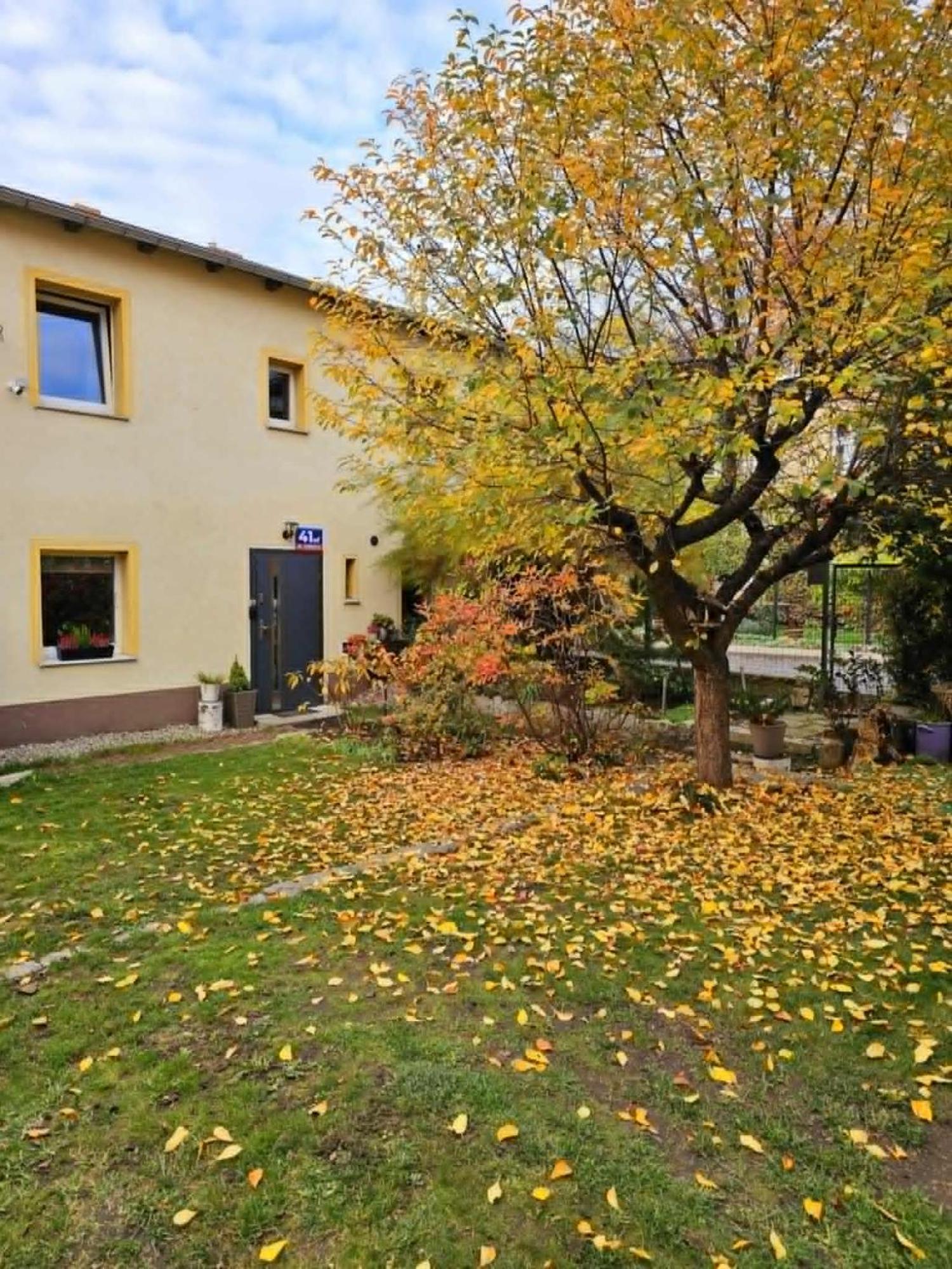 Apartament 41 Jelenia Góra Eksteriør bilde